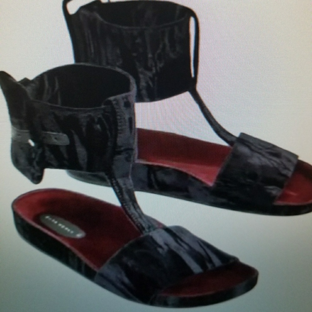 WANTED....ZARA VELVET SLIDES/SANDALS